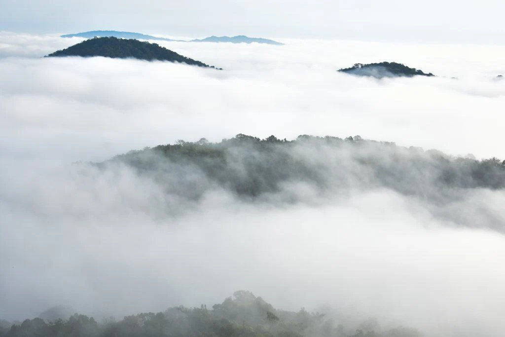 View from ಅಕ್ಕಿ ಭತ್ತ ರಾಶಿ ಗುಡ್ಡ